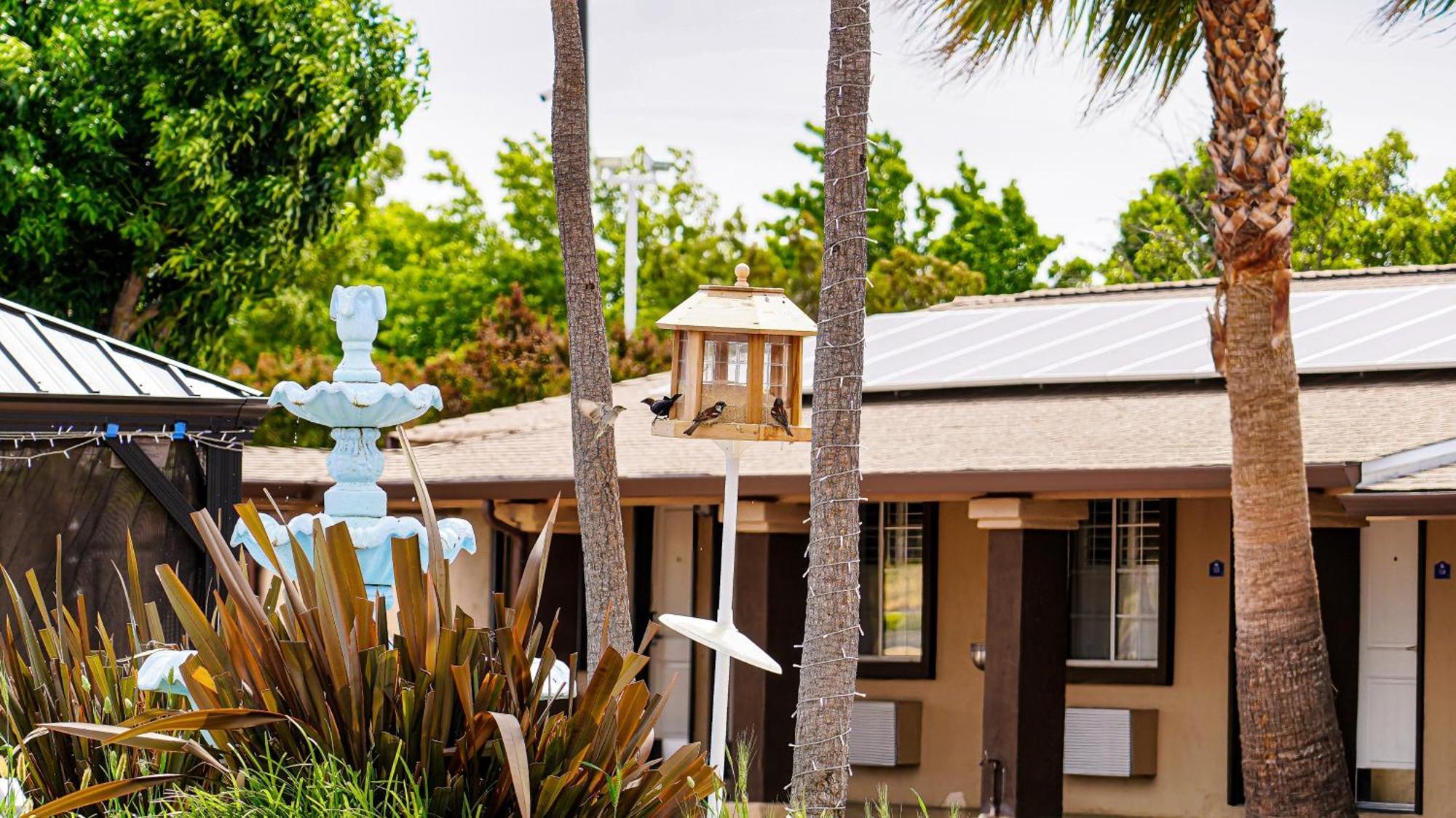 Americas Best Value Inn, Antioch Bagian luar foto